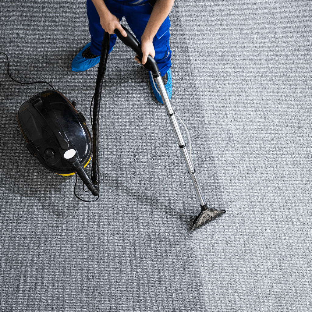 carpet cleaning